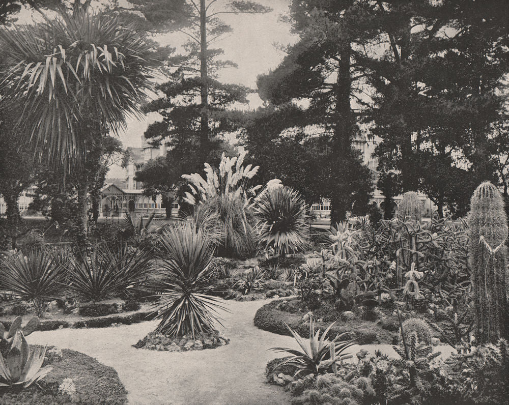 Arizona Garden, Hotel Del Momte, Monterey, California. Hermann Hall 1895 print